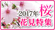 2017年上野公園・隅田公園お花見特集！