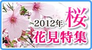 2012年桜花見特集