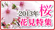 2013年上野公園・隅田公園お花見特集！