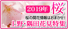 2019å¹´ä¸Šé‡Žå…¬åœ’ãƒ»éš…ç”°å…¬åœ’ ãŠèŠ±è¦‹ç‰¹é›†ï¼ ãŠèŠ±è¦‹ã‚¹ãƒãƒƒãƒˆï¼†é–‹èŠ±çŠ¶æ³é€Ÿå ±ï¼