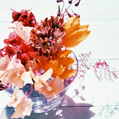 One day レッスン♪