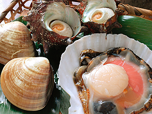 江戸下町情緒の味わえるお店網焼き料理 浅草 櫻田