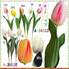 <font color=blue>今月のお勧め品！</font>