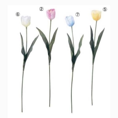 春のディスプレイに!!