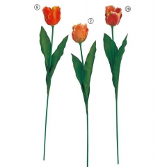 春のディスプレイに!!