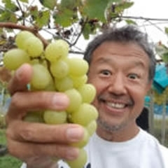 ぶどう・巨峰狩り開催中！