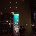 dsc00012.jpg