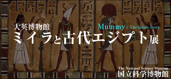 mummy_top.jpg