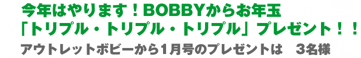 bobby_200701_013.jpg