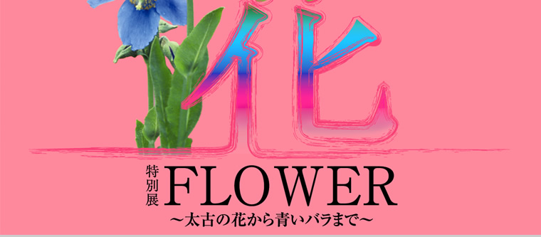 [Ωʳʪ]Ÿ֡FLOWERŤβ֤ĤХޤ