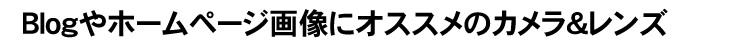 shinbashi04_tk_008.jpg