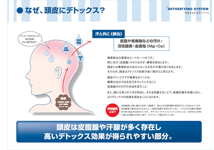 デトックス図１