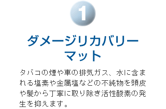 ダメージリカバリーマット