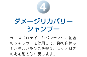 ダメージリカバリーシャンプー