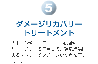 ダメージリカバリートリートメント