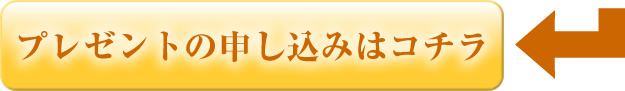 プレゼントの申し込みはコチラ