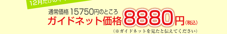 ガイドネット価格8880円