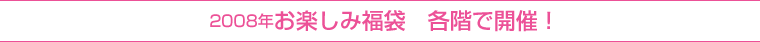 2008年お楽しみ福袋　各階で開催！