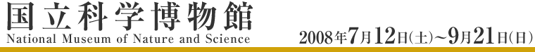 東京都美術館