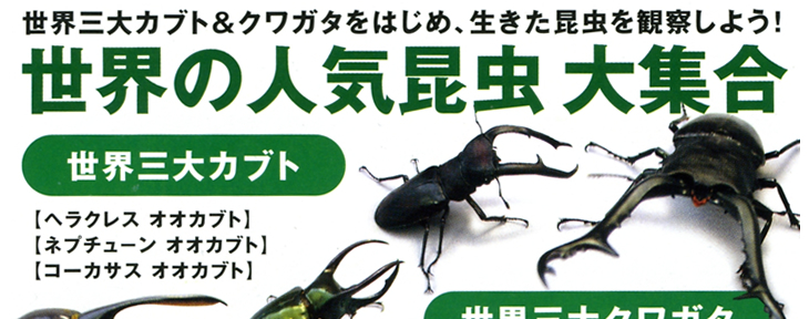 松坂屋　上野店　世界の大昆虫王国