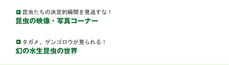 松坂屋　上野店　世界の大昆虫王国