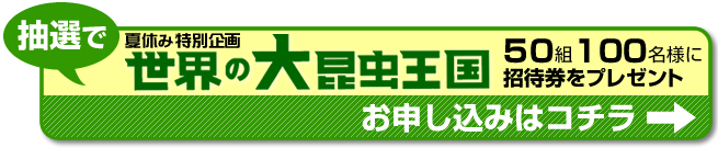 招待券お申し込みはコチラ！