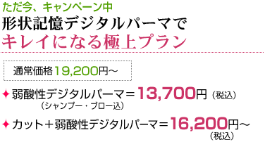 形状記憶デジタルパーマでキレイになる極上プラン