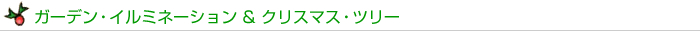 ガーデン・イルミネーション & クリスマス・ツリー