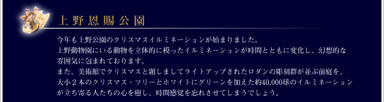 上野恩賜公園　イルミネーション