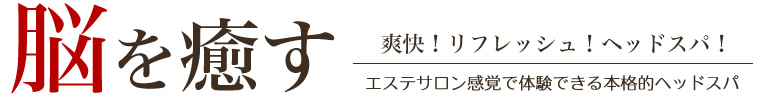 脳を癒す　爽快！リフレッシュ！ヘッドスパ！