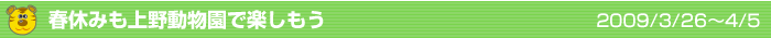 春休みも上野動物園で楽しもう