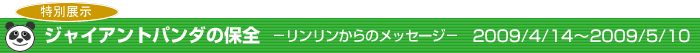 ジャイアントパンダの保全　－リンリンからのメッセージ－