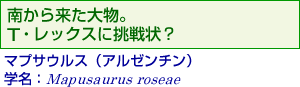 褿ʪTåĩޥץ륹ʥ를ˡ̾Mapusaurus roseae