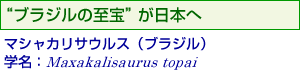 ֥֥饸λפܤءޥ㥫ꥵ륹ʥ֥饸ˡ̾Maxakalisaurus topai