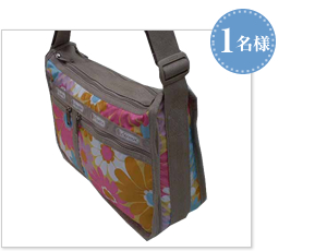 Style.7507 (Deluxe Everyday Bag)