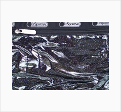LeSportsac