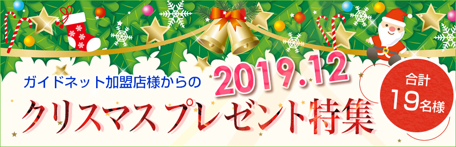 ɥͥåȥꥹޥץ쥼 2019ǯ12