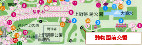動物園前交番 -地図-