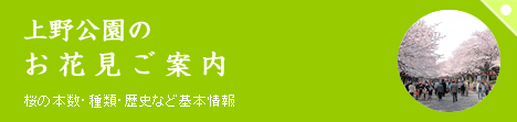 上野公園のお花見ご案内