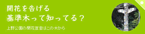 2007お花見公式MAP