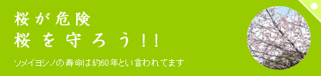 2007お花見公式MAP