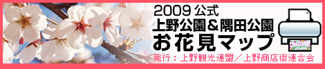 2009ĸ ָޥå