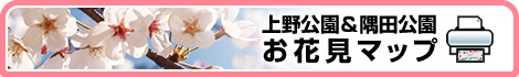 ࡦĸ ָޥå