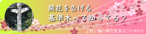 ֤𤲤ڤäΤäƤ롩