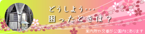 ɤ褦ĺäȤϡ