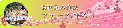 ָκˡ ޥʡ