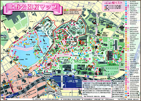 上野公園桜マップ